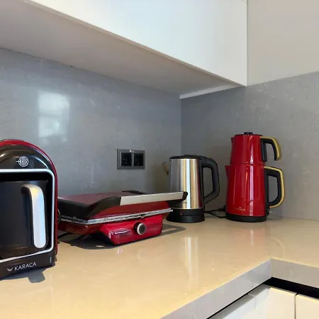 Burberry&sauna Whirlpool Turkish Bath Pool Bbq *