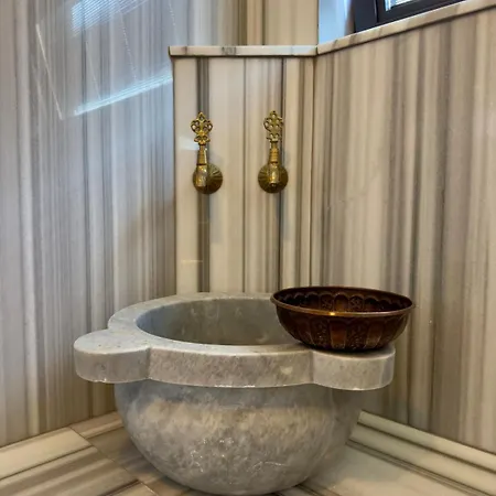 Burberry&sauna Whirlpool Turkish Bath Pool Bbq * フェティエ