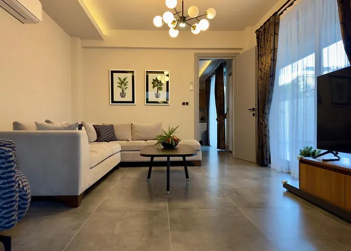 别墅 Burberry&sauna Whirlpool Turkish Bath Pool Bbq 费特希耶