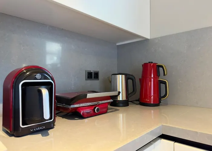 Burberry&sauna Whirlpool Turkish Bath Pool Bbq *